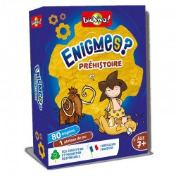 Enigmes ? Préhistoire