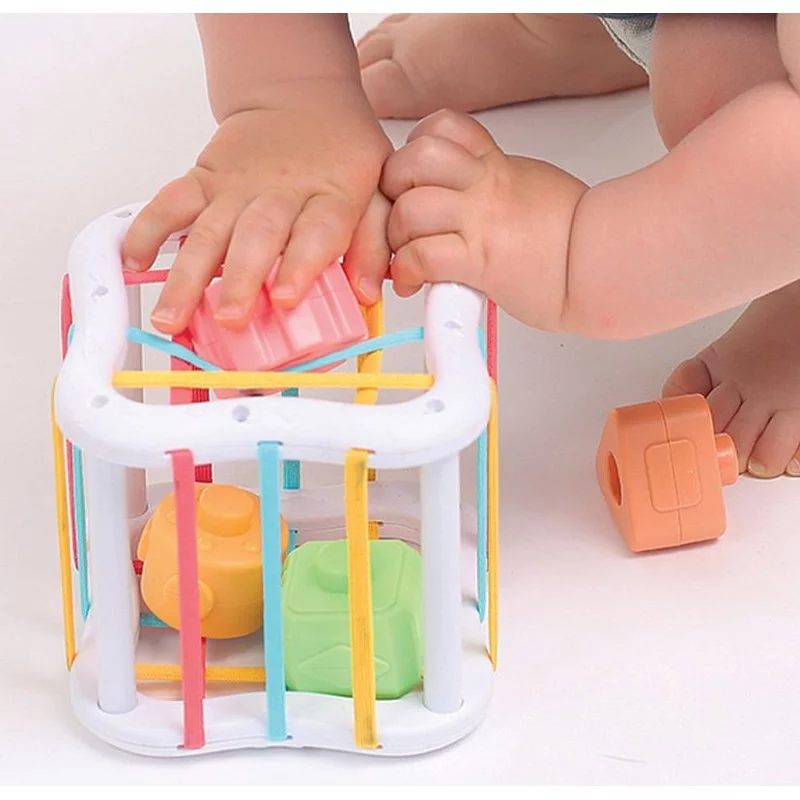 Kit jouets sensoriels à manipuler - Les Crodiles